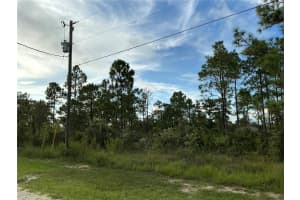 0 CALYPSO AVENUE, BROOKSVILLE, FL 34614 - MLS#MFROM710202