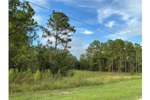 0 CALYPSO AVENUE, BROOKSVILLE, FL 34614 - MLS#MFROM710202