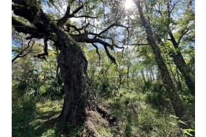 TBD 5TH LANE, OCALA, FL 34481 - MLS#MFROM710211