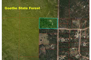 7050 SE COUNTY ROAD 337, MORRISTON, FL 32668 - MLS#MFROM710219