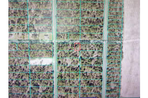 24630 SUNSET AVENUE, DUNNELLON, FL 34431 Sold 11/18/25