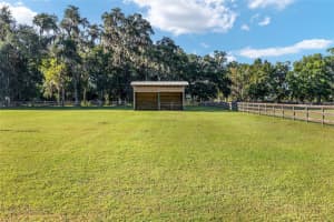 6301 W HIGHWAY 326, OCALA, FL 34482 - MLS#MFROM710232