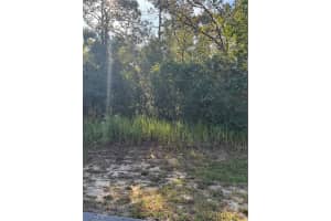 TBD HEMLOCK LOOP DRIVE, OCALA, FL 34472 - MLS#MFROM710285