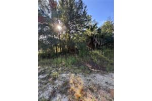 TBD HEMLOCK LOOP DRIVE, OCALA, FL 34472 - MLS#MFROM710285