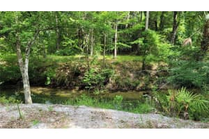 3690 54TH AVENUE, MORRISTON, FL 32668 - MLS#MFROM710299