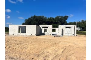 16530 23RD AVENUE, SUMMERFIELD, FL 34491 - MLS#MFROM710343