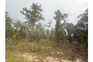TBD SW 89TH ST LOT 3 E 1/2, DUNNELLON, FL 34432 Sold 02/27/26