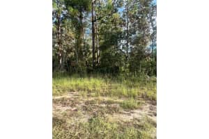 HEMLOCK TRL, OCALA, FL 34472 - MLS#MFROM710410