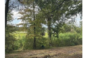 6661 TURNER CAMP ROAD, INVERNESS, FL 34453 - MLS#MFROM710423