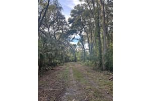 6661 TURNER CAMP ROAD, INVERNESS, FL 34453 - MLS#MFROM710423