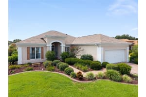 9244 128TH STREET, SUMMERFIELD, FL 34491 - MLS#MFROM710460