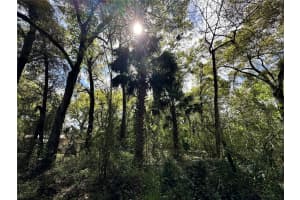 tbd 5TH LANE, OCALA, FL 34481 - MLS#MFROM710469