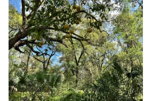 tbd 5TH LANE, OCALA, FL 34481 - MLS#MFROM710469