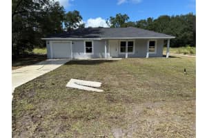 26 GUAVA TERRACE TRAK, OCKLAWAHA, FL 32179 - MLS#MFROM710491