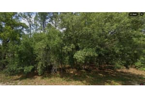 TBD SW 127TH LOOP, OCALA, FL 34473 - MLS#MFROM710498