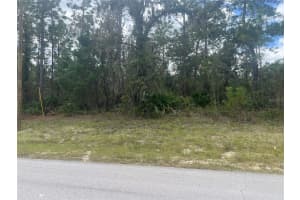 00 146 LANE ROAD, OCALA, FL 34473 - MLS#MFROM710507