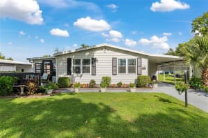 1003 MATTHEW AVENUE, LADY LAKE, FL 32159 - MLS#MFROM710517