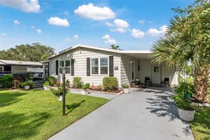 1003 MATTHEW AVENUE, LADY LAKE, FL 32159 - MLS#MFROM710517