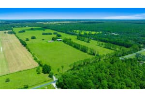 19355 25TH PLACE, DUNNELLON, FL 34431 - MLS#MFROM710523