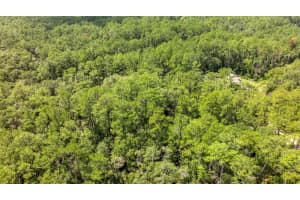 1424 CARSON ROAD, CITRUS SPRINGS, FL 34434 Sold 01/22/26