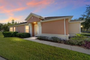 9582 70TH LOOP, OCALA, FL 34481 - MLS#MFROM710551