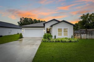 8501 160TH PLACE, SUMMERFIELD, FL 34491 - MLS#MFROM710559