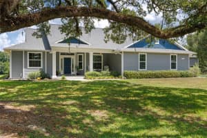 16151 W HIGHWAY 318, WILLISTON, FL 32696 - MLS#MFROM710606
