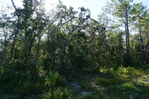 6439 NEW JAPAN TERRACE, DUNNELLON, FL 34434 Sold 10/28/25