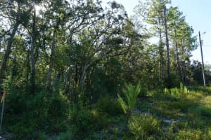 6439 NEW JAPAN TERRACE, DUNNELLON, FL 34434 Sold 10/28/25