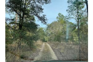 LOT 9 152ND AVENUE, OCALA, FL 34481 - MLS#MFROM710640