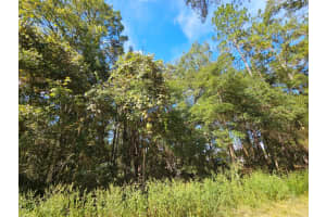 TBD 21ST PLACE, OCALA, FL 34481 - MLS#MFROM710650