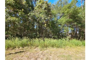 TBD 21ST PLACE, OCALA, FL 34481 - MLS#MFROM710650