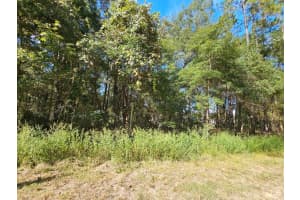TBD 21ST PLACE, OCALA, FL 34481 - MLS#MFROM710650