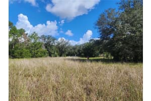 217 LAKEVIEW DRIVE, MELROSE, FL 32666 - MLS#MFROM710654