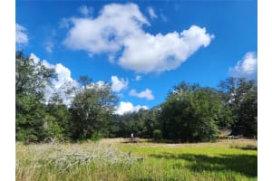 217 LAKEVIEW DRIVE, MELROSE, FL 32666 - MLS#MFROM710654