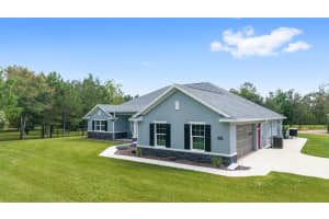 15600 185TH STREET, WILLISTON, FL 32696 - MLS#MFROM710683