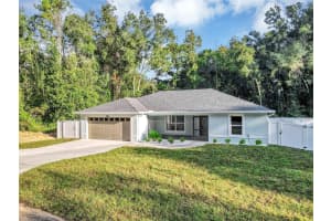 4363 131ST LANE, BELLEVIEW, FL 34420 - MLS#MFROM710699