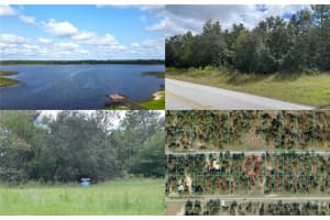 SW MARINE BLVD, DUNNELLON, FL 34431 - MLS#MFROM710711