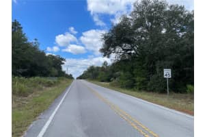 SW MARINE BLVD, DUNNELLON, FL 34431 - MLS#MFROM710711