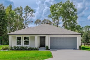 8880 SANTOS DRIVE, CITRUS SPRINGS, FL 34434 - MLS#MFROM710715