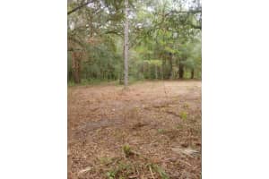 0 NE 148TH TERRACE RD, FORT MC COY, FL 32134 - MLS#MFROM710723