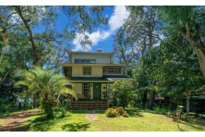 16750 54TH STREET, OCKLAWAHA, FL 32179 - MLS#MFROM710780