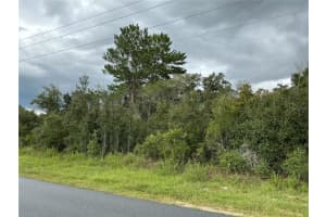 0 110TH STREET, OCALA, FL 34476 - MLS#MFROM710797