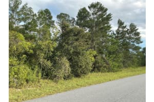 SW 35TH AVE ROAD, OCALA, FL 34473 - MLS#MFROM710802