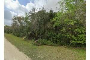 6384 SOURGUM TERRACE, HERNANDO, FL 34442 - MLS#MFROM710810