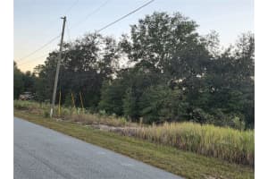 00 DOGWOOD DRIVE LANE, OCALA, FL 34472 - MLS#MFROM710833