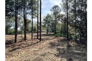 Lot 103 60TH LANE ROAD, OCALA, FL 34481 Sold 12/12/25