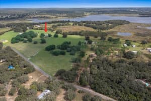 17355 260TH AVENUE ROAD, UMATILLA, FL 32784 - MLS#MFROM710867