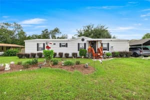 10124 Se 126th Ln, BELLEVIEW