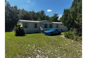 682 COUNTY ROAD 481W, LAKE PANASOFFKEE, FL 33538 - MLS#MFROM710889